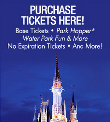 2014 Disney World Annual Pass