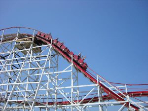 Stricker’s Grove Coupon