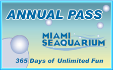 2014 Miami Seaquarium Annual Pass